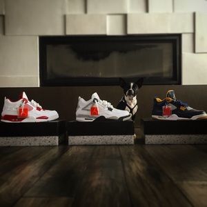 Meet your Posher, Makhi